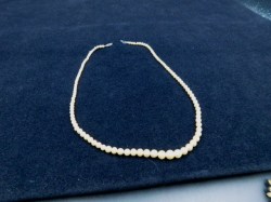 pearl lot 3 a